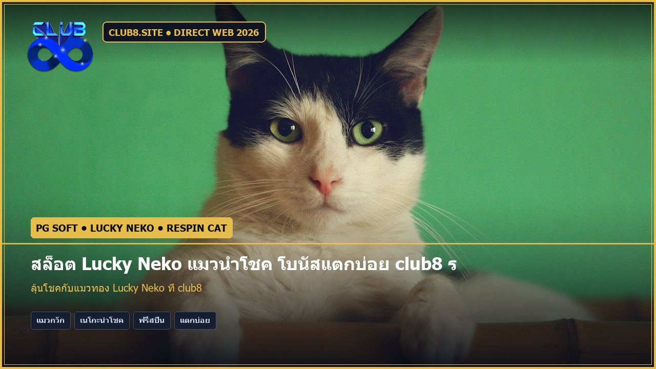 สล็อต Lucky Neko แมวนำโชค โบนัสแตกบ่อย club8 รีวิวและเทคนิคเล่น
